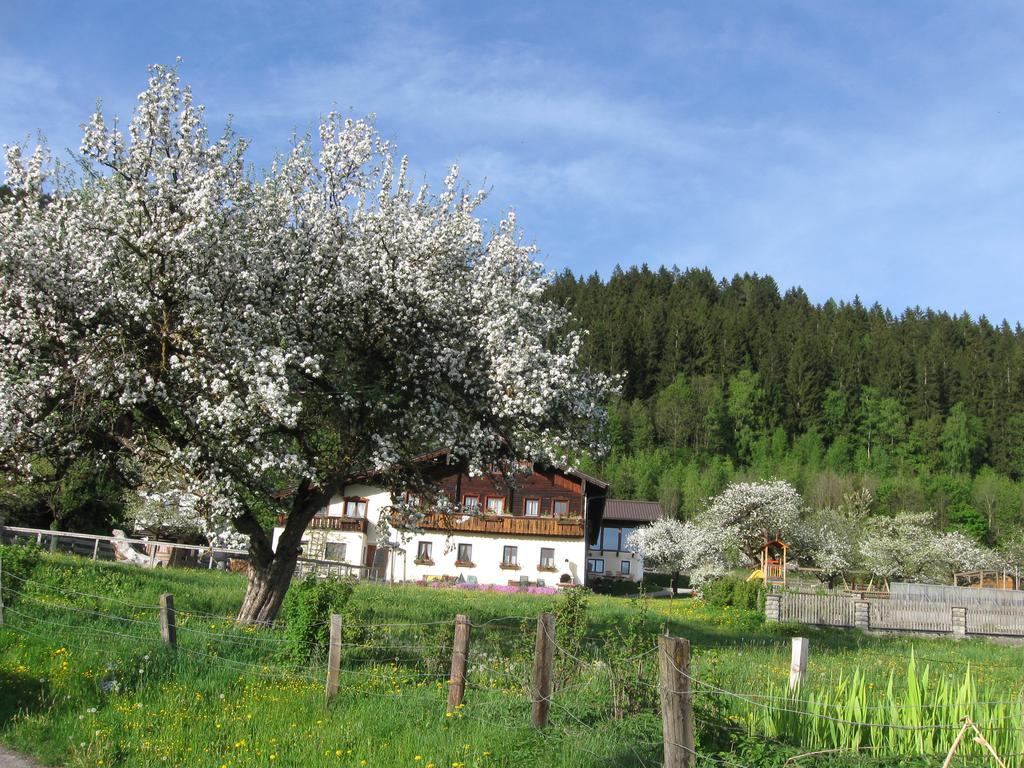Bauernhofurlaub Sinnhubgut 알텐막팀퐁와 외부 사진